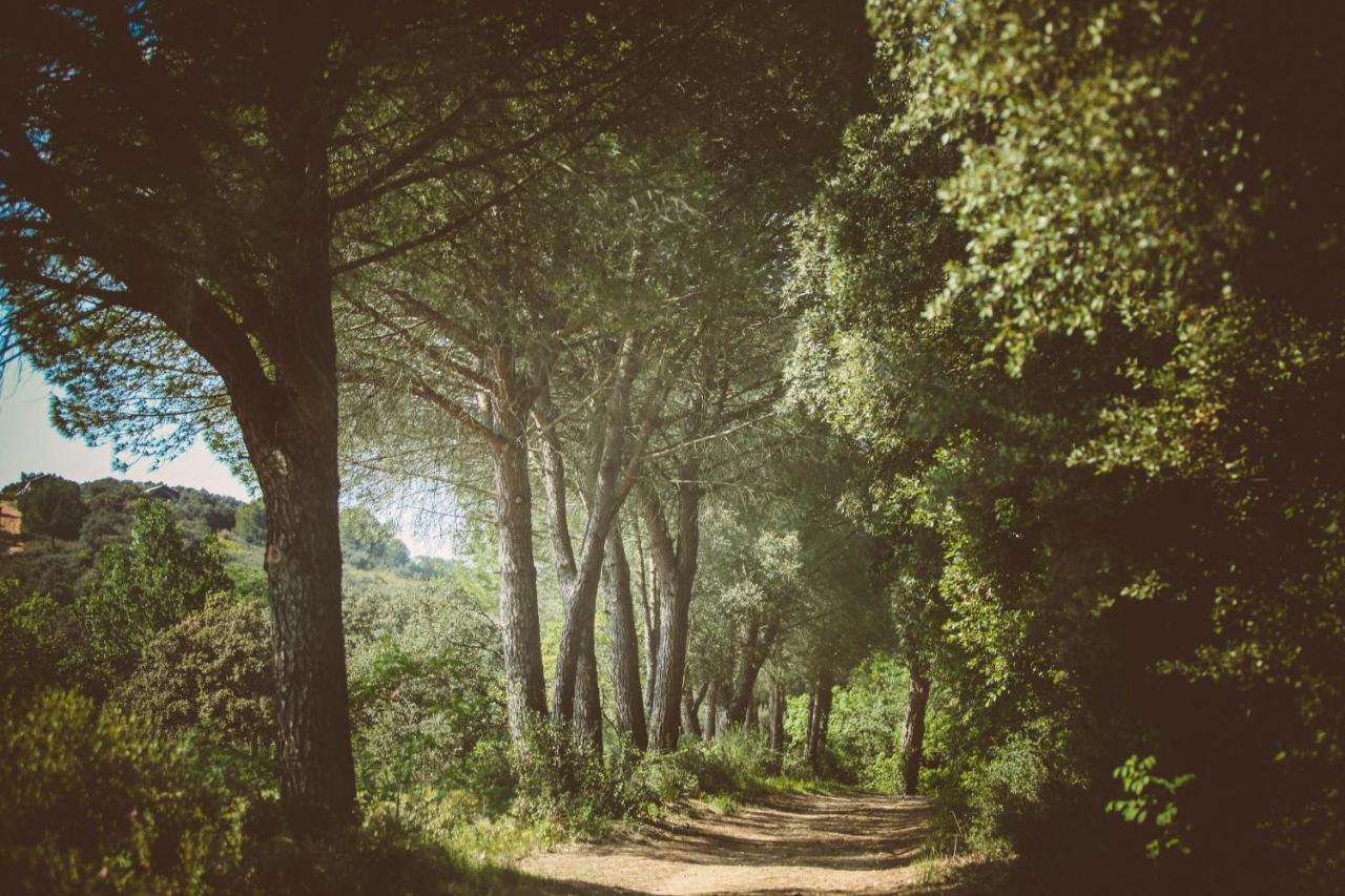 Domaine Sainte Colombe Otel Dış mekan fotoğraf