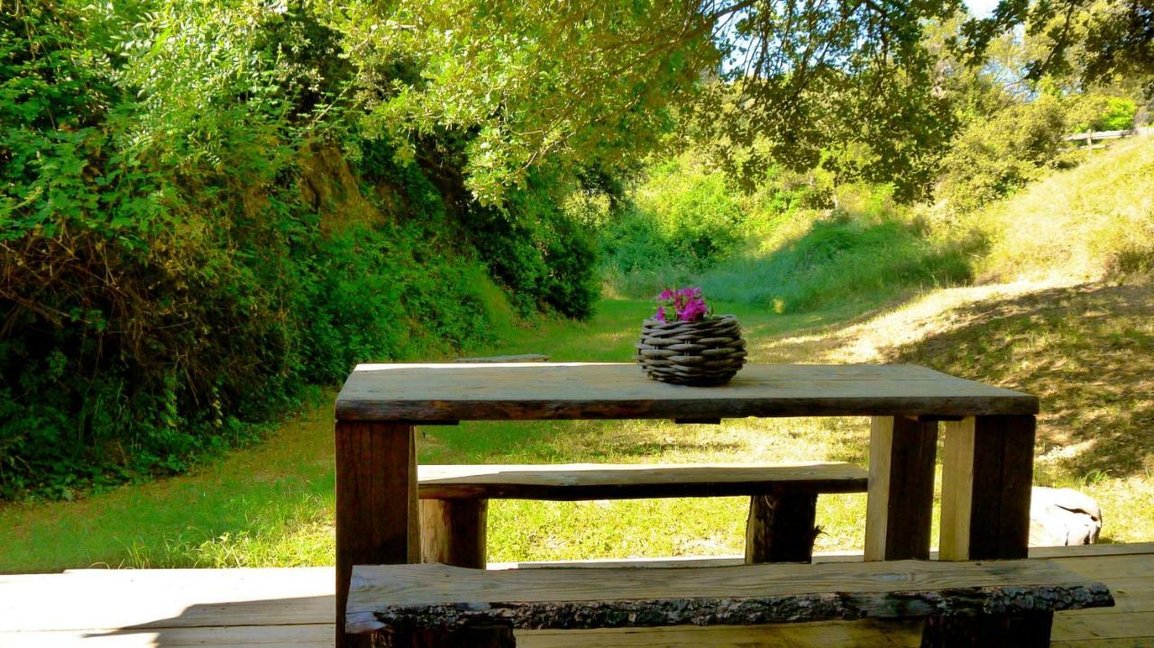 Domaine Sainte Colombe Otel Dış mekan fotoğraf